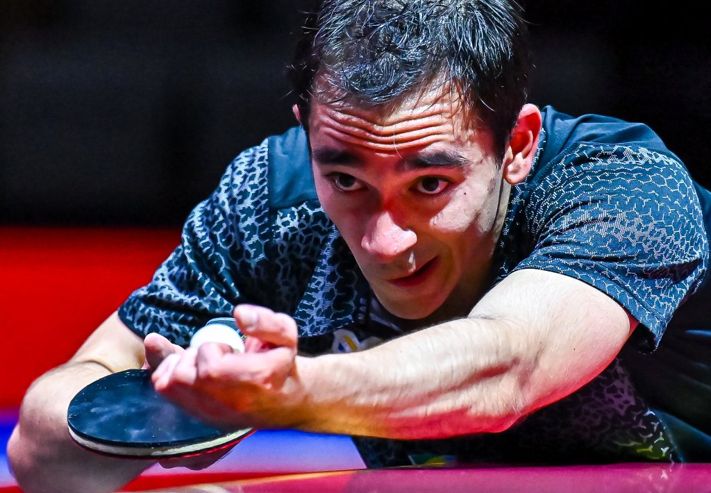 在手办收藏 在手办收藏