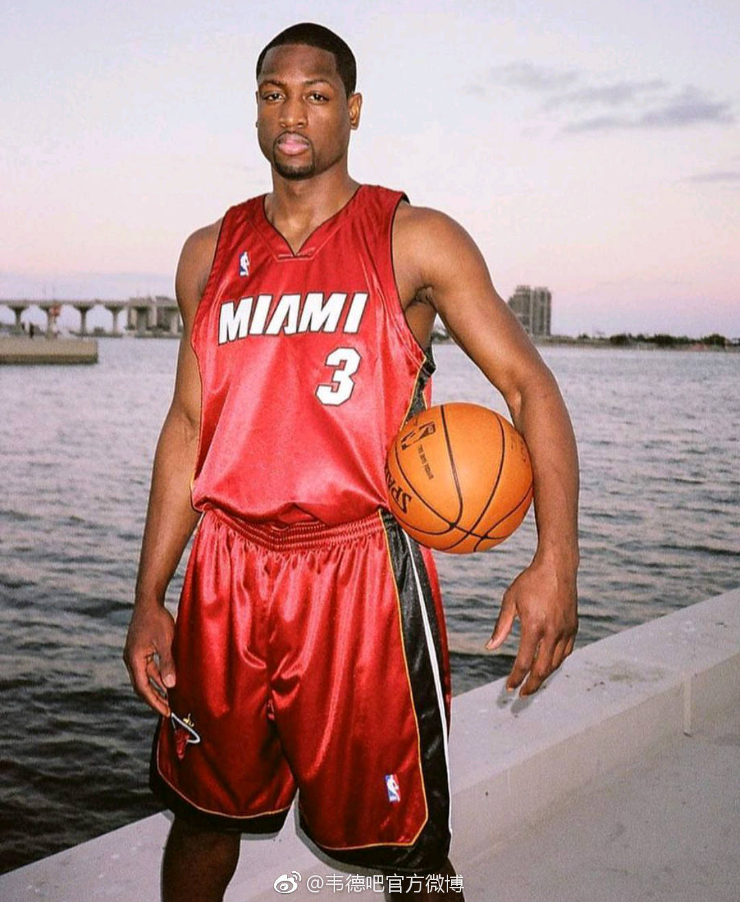 瑞士羽球公 瑞士羽球公